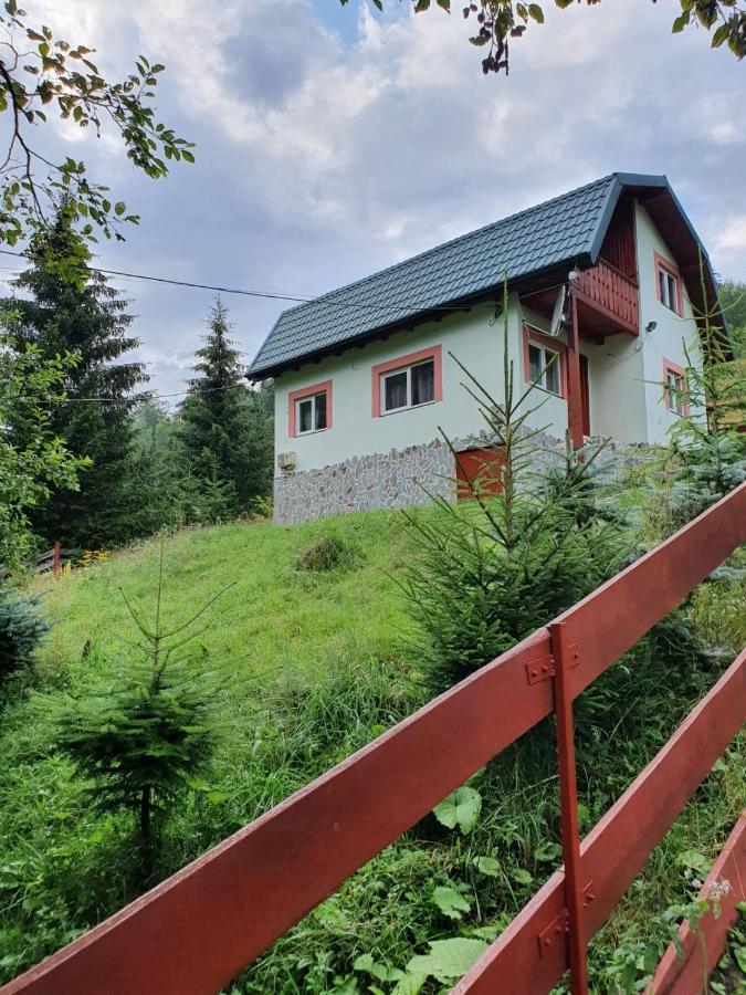 Casa Dor De Ea Villa Dimbovicioara Exterior photo